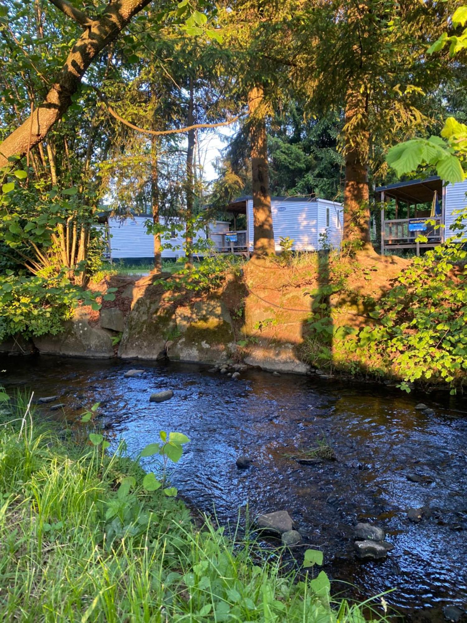 S-Chalet Camping Mit Comfort Im Schwarzwald Steinach  Dış mekan fotoğraf
